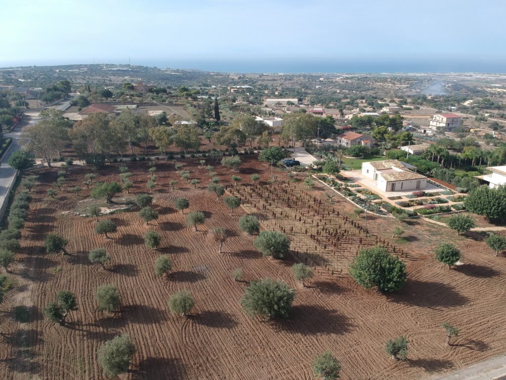 DCIM/199MEDIA/DJI_0283.JPG